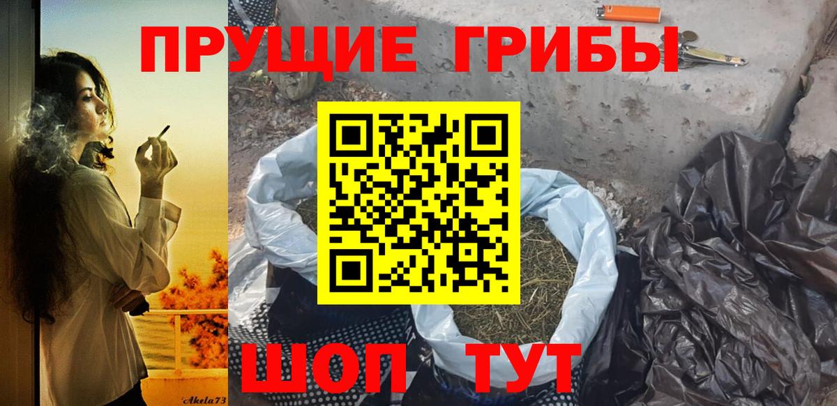 Псилоцибиновые грибы Cubensis  Вход с VPN  Щёлково 