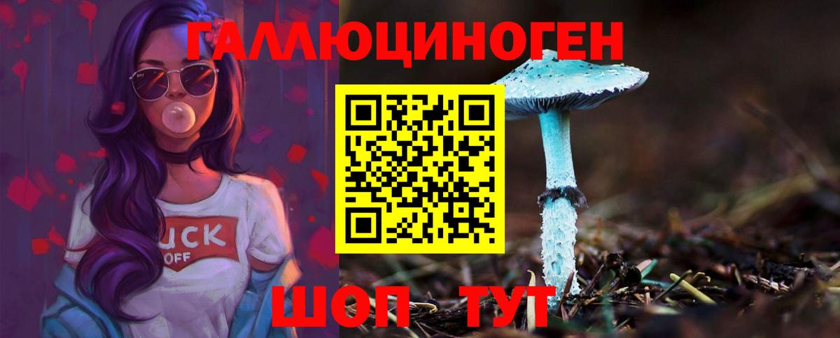 Галлюциногенные грибы мухоморы Щёлково